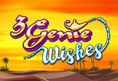 3 Genie Wishes